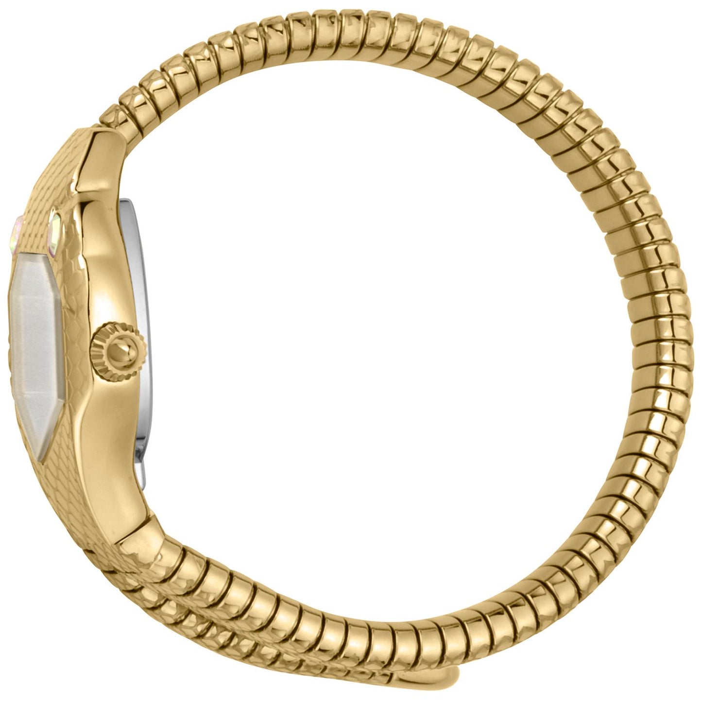 Gold Women Watch