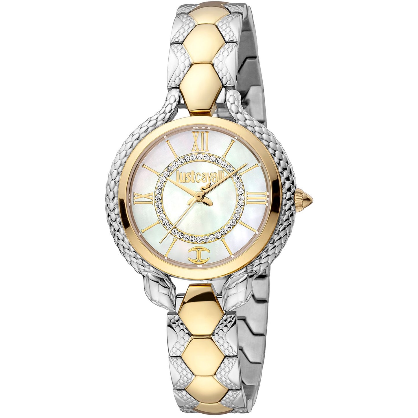 Multicolor Women Watches