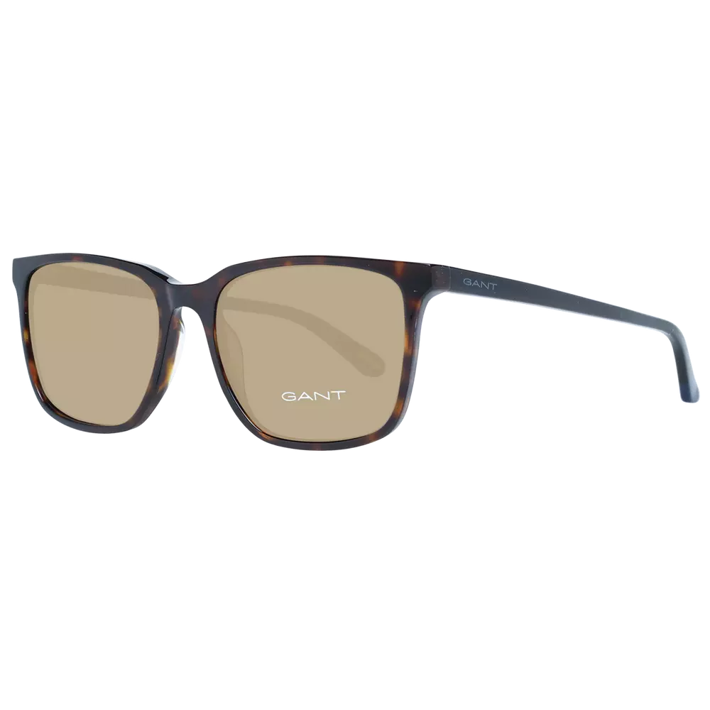 Brown Men Sunglasses