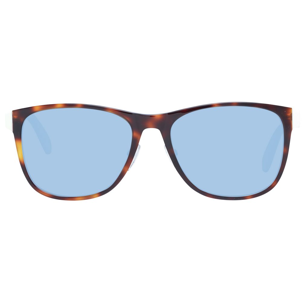 Brown Men Sunglasses