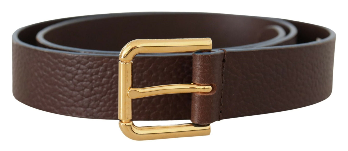 Elegant Brown Leather Belt with Gold Buckle