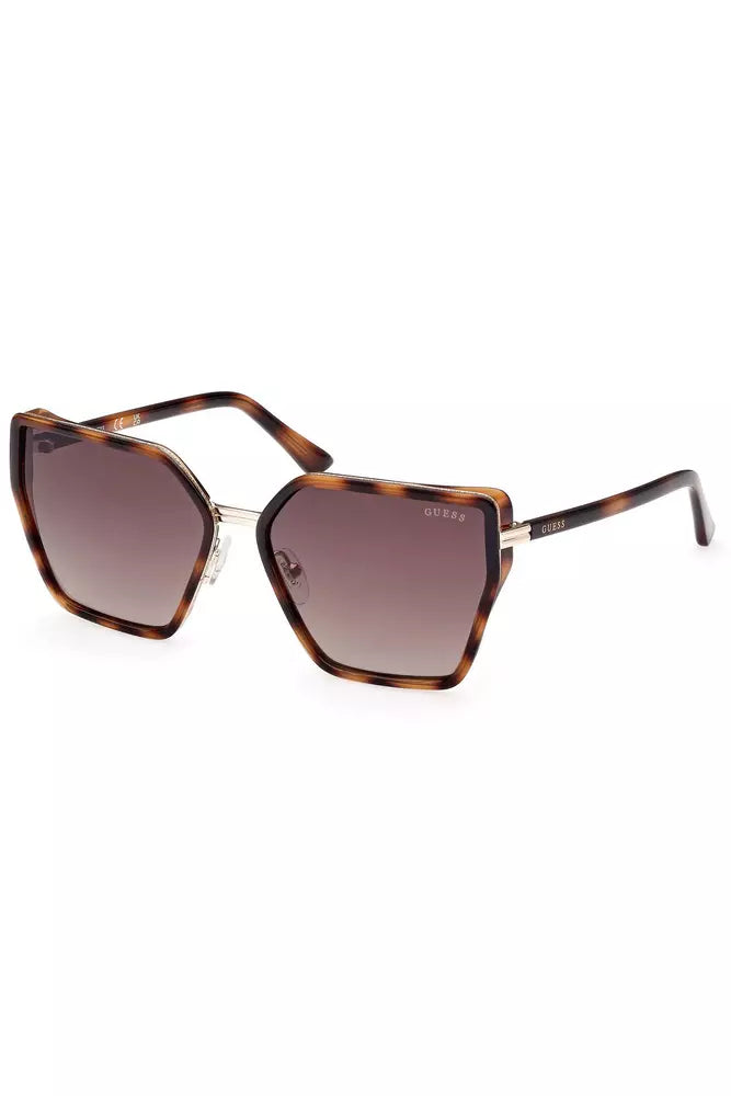 Brown INIETTATO Sunglasses