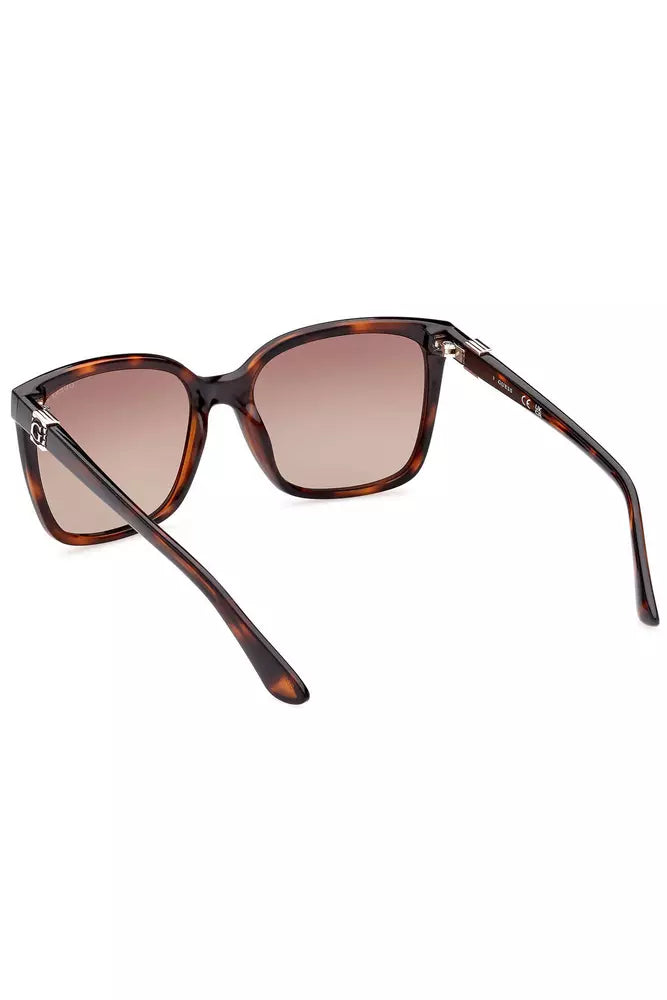 Brown INIETTATO Sunglasses